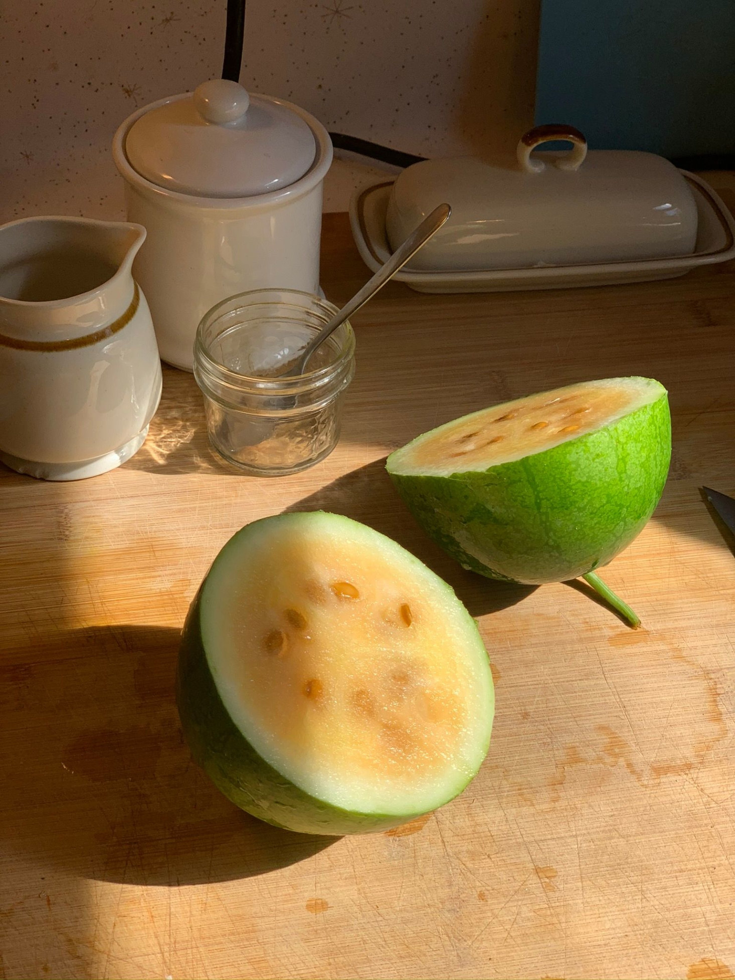 My greatest triumph: delicious Siberian watermelon from the garden.