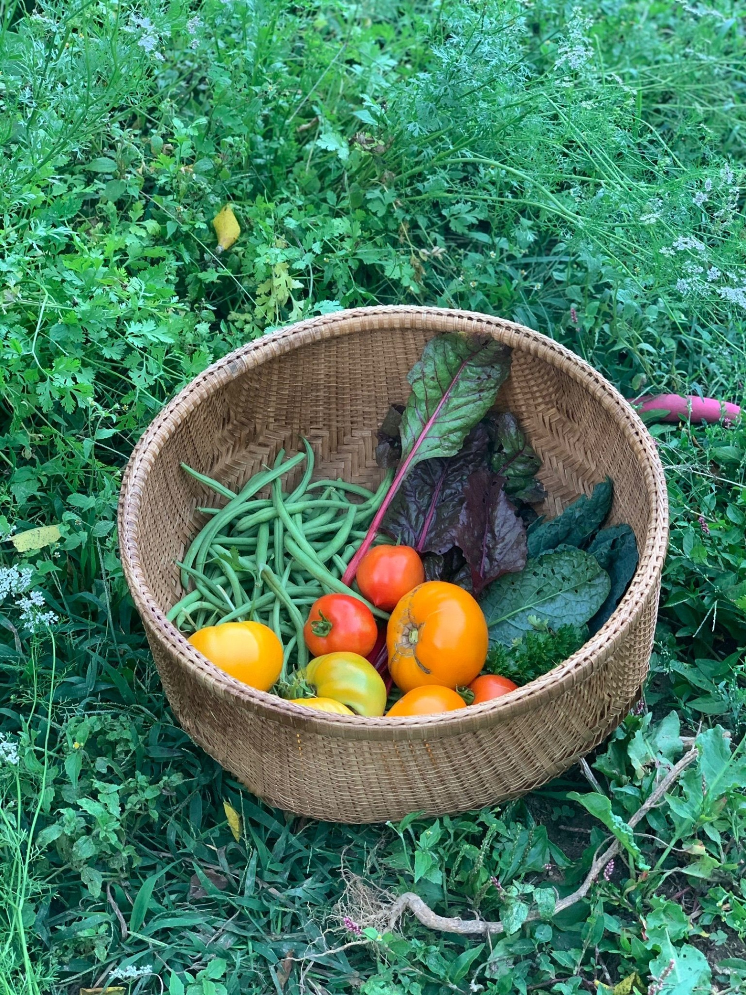 A sampling of the crops we grew this summer.