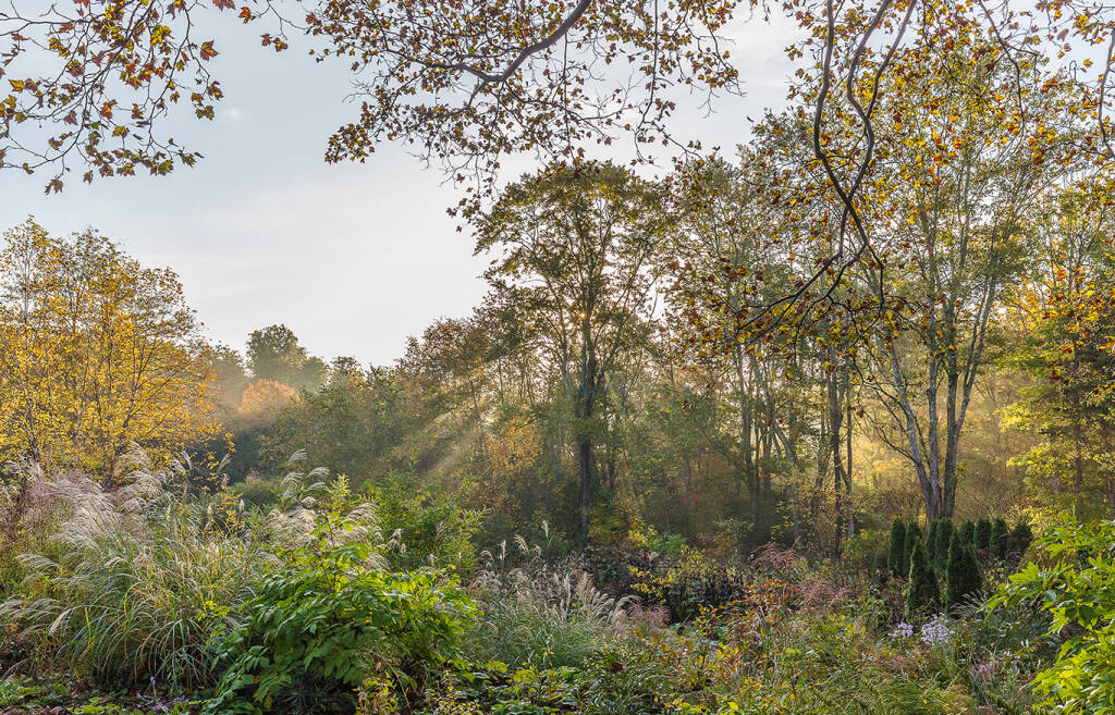Required Reading The View From Federal Twist Gardenista