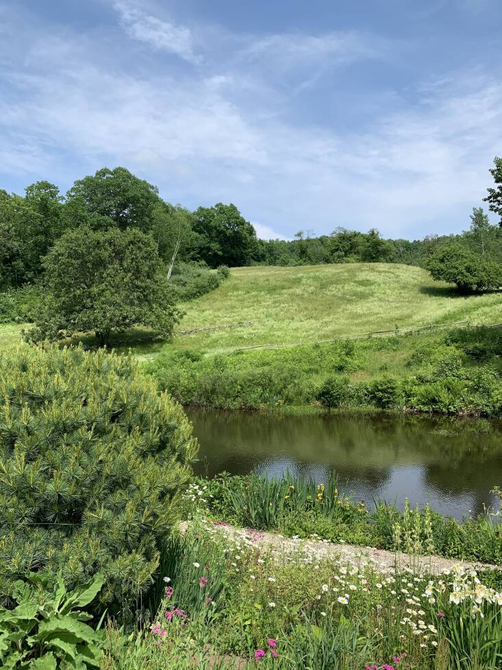 A serene path along the brook with the rolling meadow beyond.