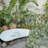 Garden Visit: Clarke de Mornay's Tropical Potted Patio in San Francisco