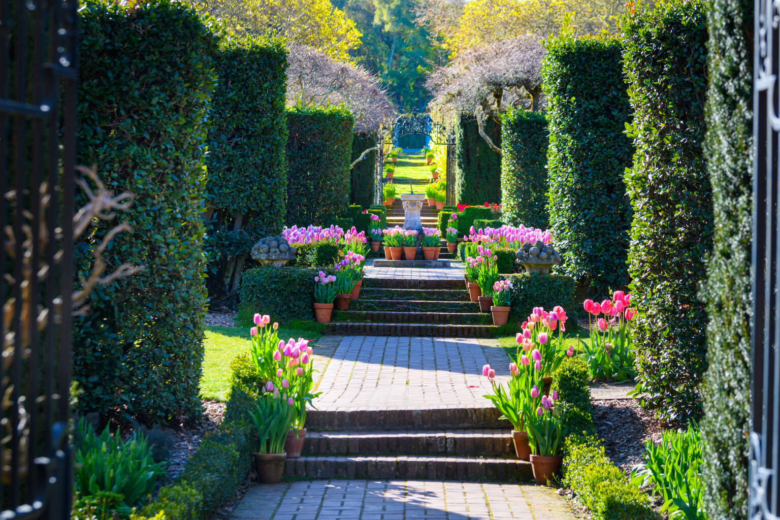 Garden Visit Filoli Historic House and Garden in Woodside, CA Gardenista