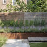 Landscape Design Visit: A Small Brooklyn Backyard Where 'Every Detail, Every Inch' Is Important