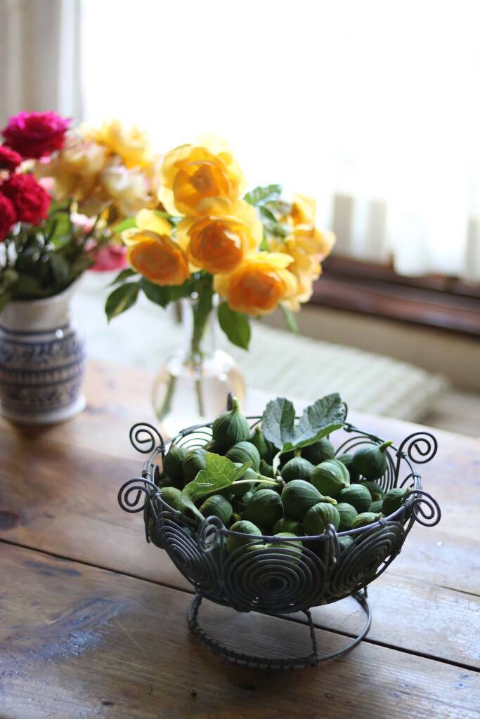 Green Fig Preserve Recipe A Taste of South Africa Gardenista