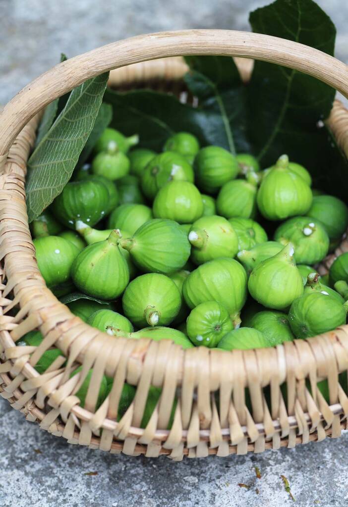 Green Fig Preserve Recipe A Taste of South Africa Gardenista