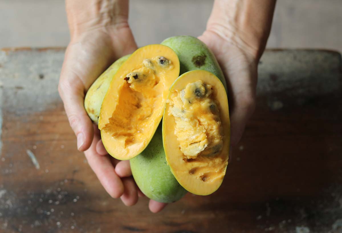 Pawpaw A Native Fruit that Tastes Like the Tropics Gardenista