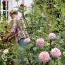 Garden Visit: A Writer's Eye-Popping Dahlia Display in London