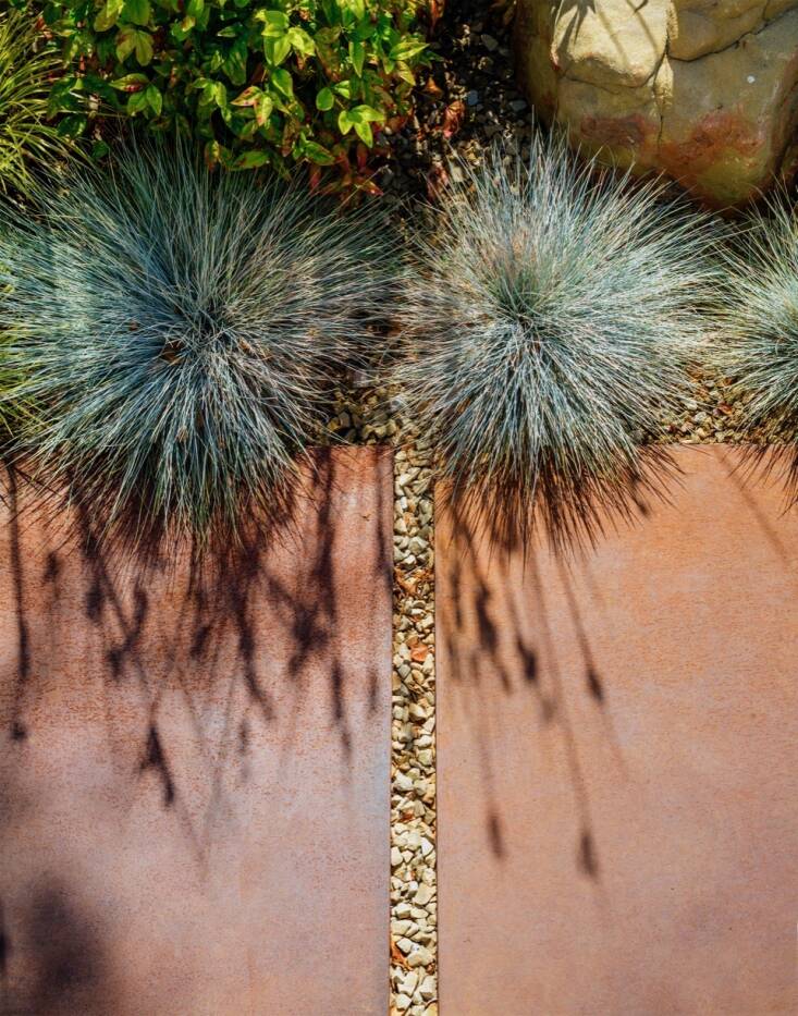 Along the entry path, she planted blue-green Festuca glauca, a drought-tolerant grass that will tolerate the heat from the Cor-ten steel pavers. “I love the shadows it makes,” says Ferguson. “The grass is soft and delicate, and contrasts with the hard, geometric shape of the pavers.”