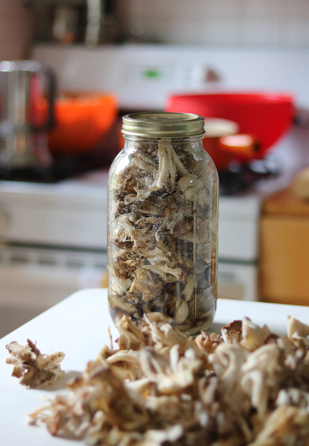 Maitake The Expensive Mushroom You Can Forage for Free Gardenista