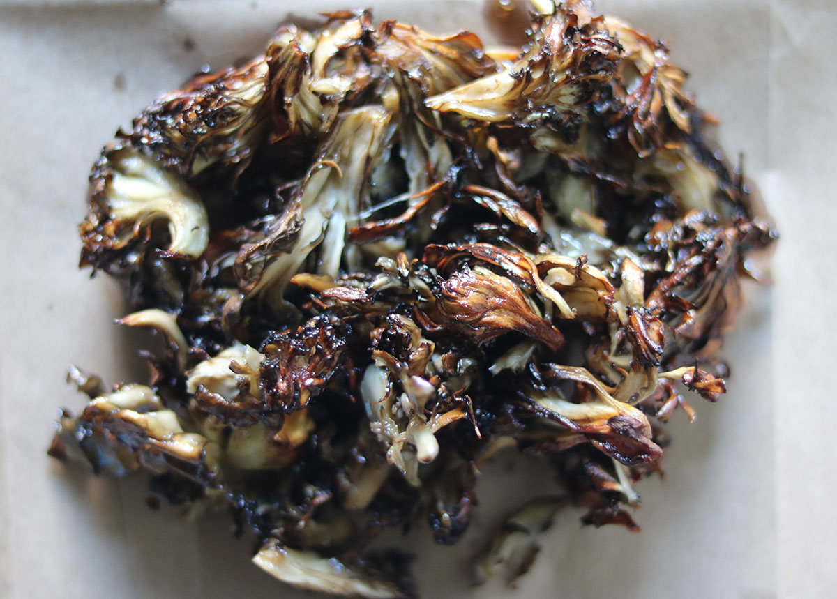Maitake The Expensive Mushroom You Can Forage for Free Gardenista