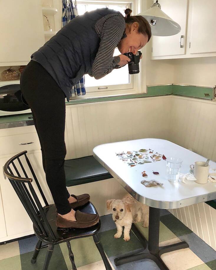 An unstaged kitchen scene. I post my work daily on Instagram @dogwalkdiary and my website, Dogwalkdiary.com. If you&#8\2\17;re in the Boston area, I&#8\2\17;d love to see you at Abroad Modern (@abroadmodern) on October \2\2: \29\2 Concord Ave, Cambridge, MA, \2-7 pm. The show will be up through the holidays. Photograph by Ted Conover.