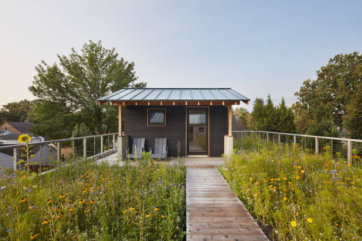 A cedar walkway leads from the roof&#8\2\17;s access point to the sauna, with native wildflowers on either side. The materials for the green roof were sourced by Omni Ecosystems, which Steffanie chose for its soil-science approach to creating a lightweight, low-maintenance green roof.