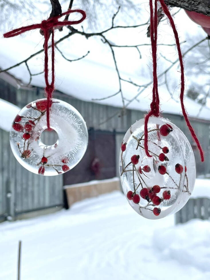 If you live in a reliably cold climate, make these lovely frozen ornaments and hang from a tree. Photograph by Sayuki Ueno, from With Love From Japan: DIY Frozen Herbariums.