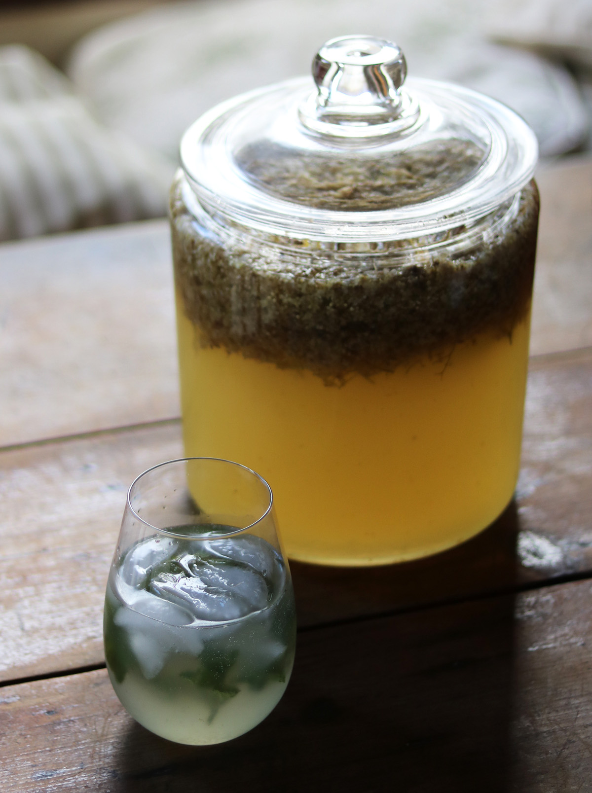 Elderflower cordial is a fermented, concentrated syrup