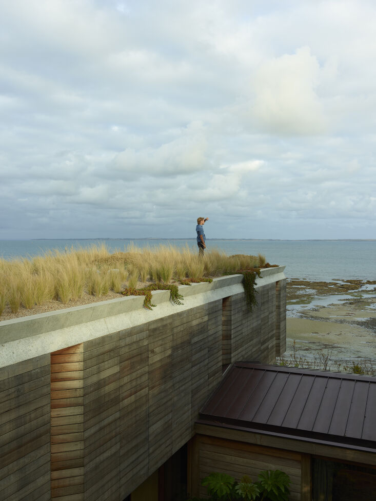 From the road, this home seems to disappear thanks to a street-level green roof. It’s planted with native poa grasses and pigface (an Australian succulent), and reduces stormwater runoff, cools the rooms below it, and provides natural habitat for thornbills. Photograph by Derek Swalwell, courtesy of Kennedy Nolan, from Prospect & Refuge: A Spectacular Coastal Home Both Wild and Cozy.