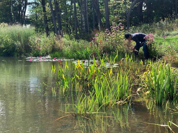 Alan pruning at the edge of the pond.