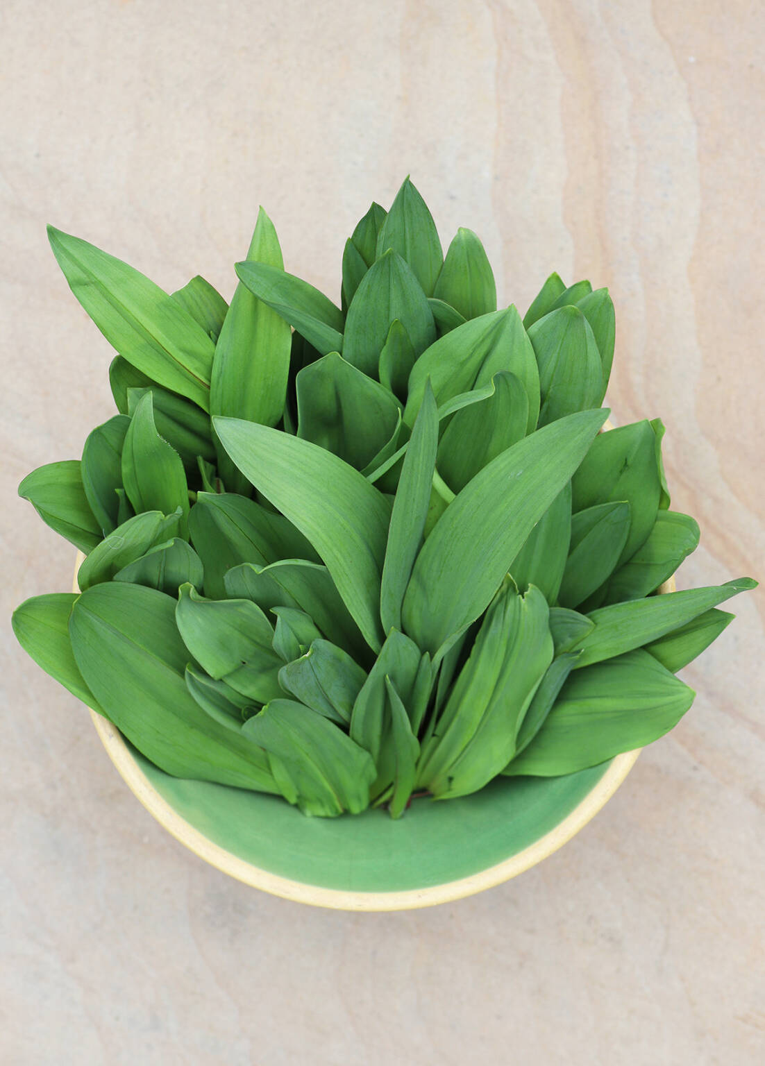 Forest Farming Is the Future (for Ramps) Gardenista