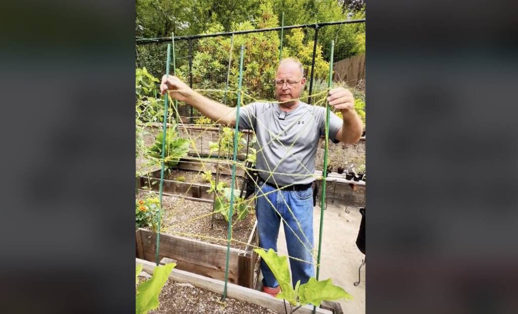 5 Genius Gardening Tips I Learned from TikTok - Gardenista - Tiktok Fun Diy Gardening Tips