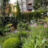 Before & After: Less Fence, More Flowers in Melissa Goldstein's Brooklyn Backyard