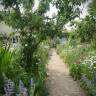 Garden Visit: An Artist's Palette at Charleston Farmhouse