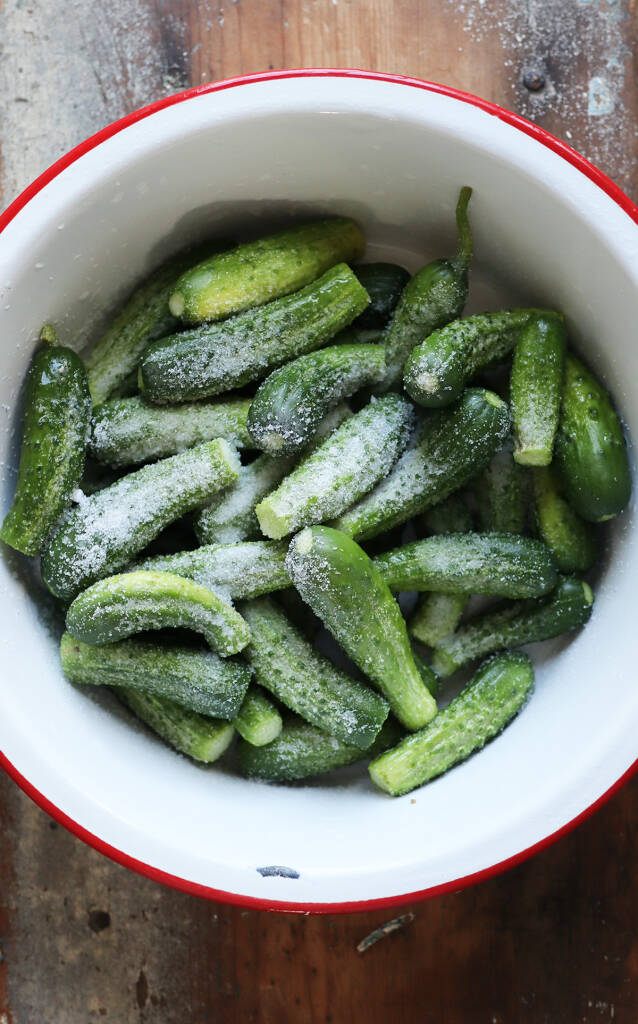 Cornichons An Easy Recipe for Tiny Pickled Cucumbers
