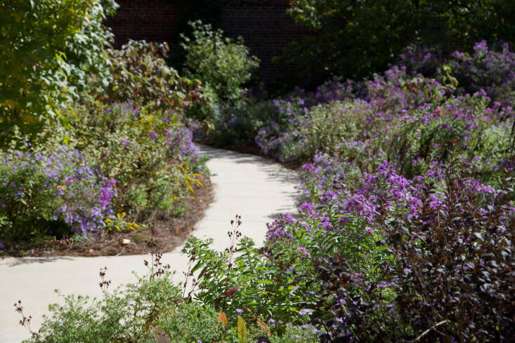 A bioswale designed by Refugia Design for the Bryn Mawr Film Institute manages runoff from the roof and neighboring parking lot through a mix of diverse flowering perennials and grasses with a variety of root depths. Photograph by Kayla Fell, courtesy of Refugia.