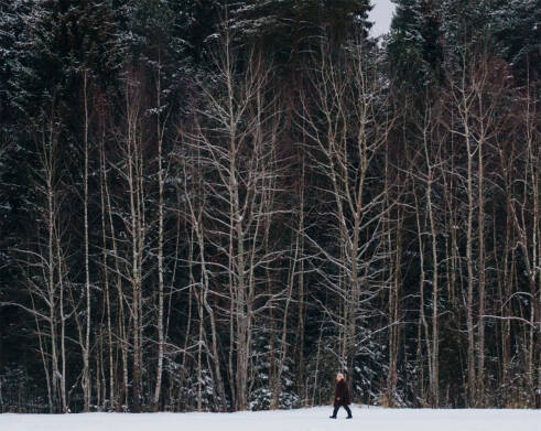 Dacha: The Soviet Country Cottage, A Photo Book by Fyodor Savintsev