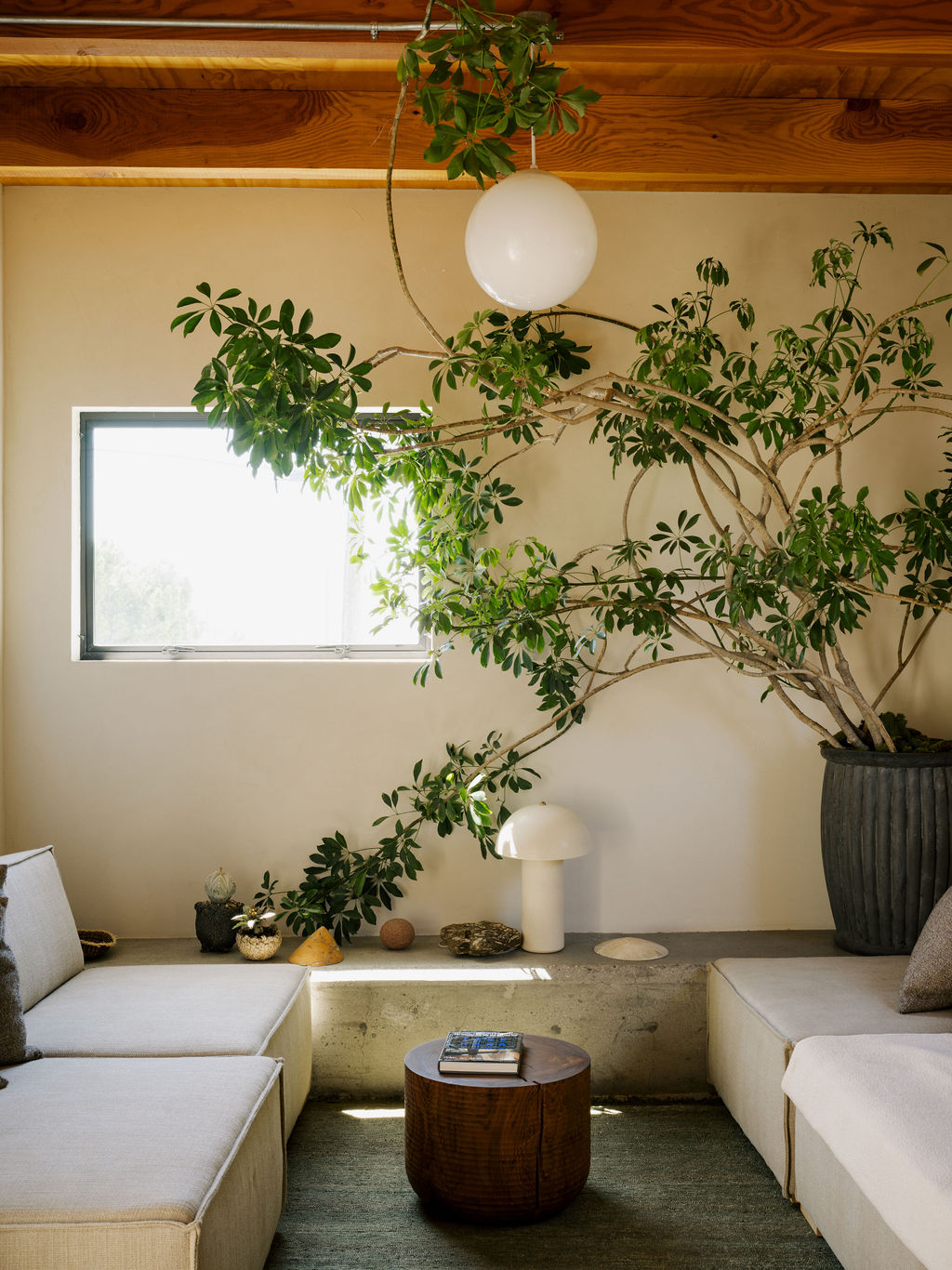 Trending on Remodelista: City Style - Gardenista