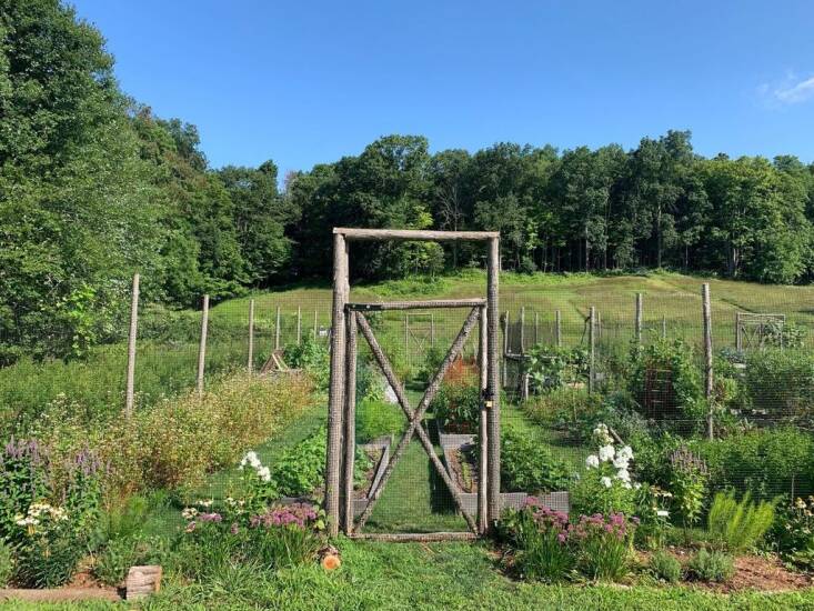 Lachat community garden. Photograph courtesy of Christina Koether.