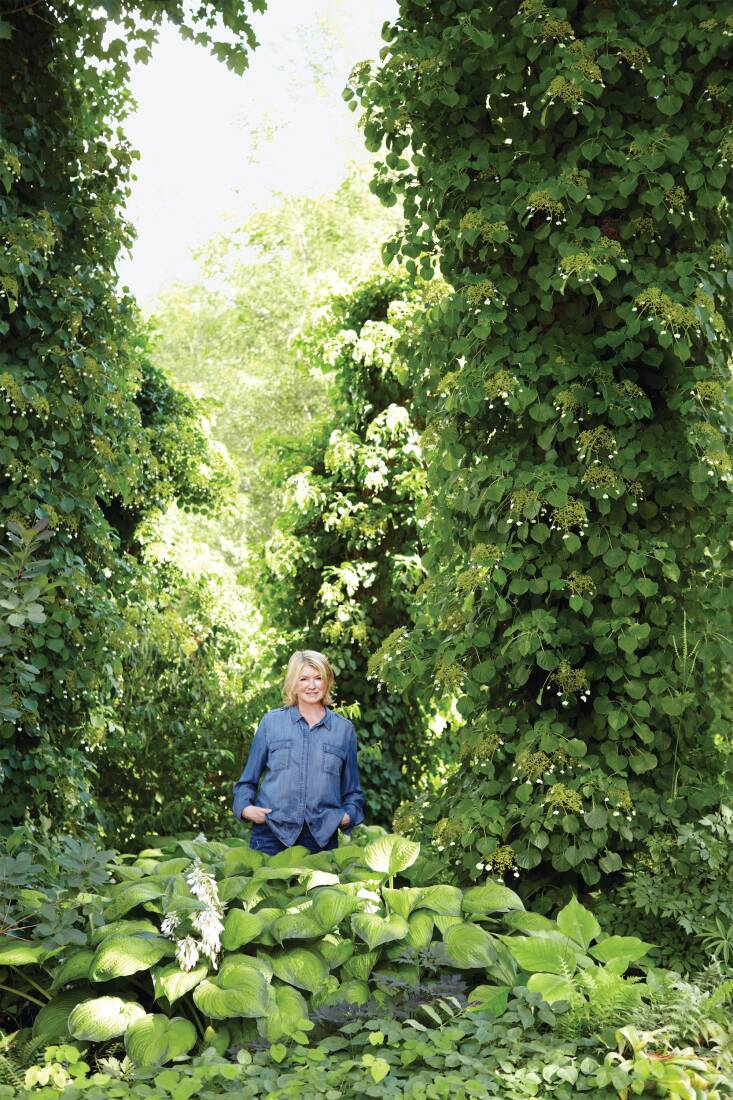 Surrounded by climbing hydrangeas. Photograph by Jose Picayo, from Martha Stewart&#8\2\17;s Gardening Handbook.