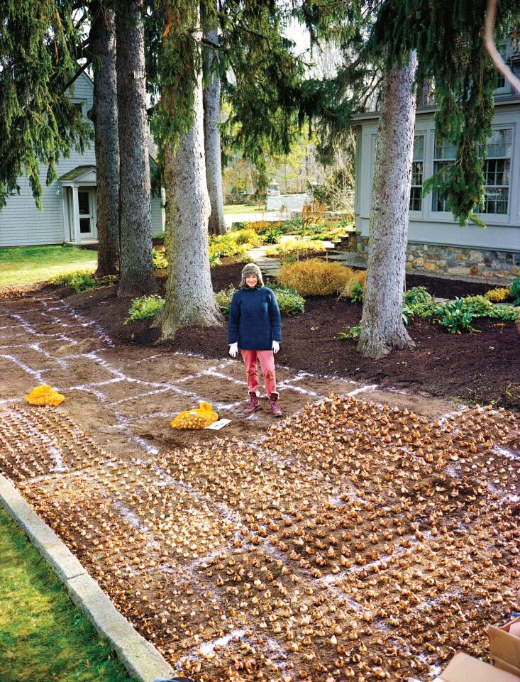 Martha planting daffodils. Photograph by John Dolan, from Martha Stewart&#8\2\17;s Gardening Handbook.