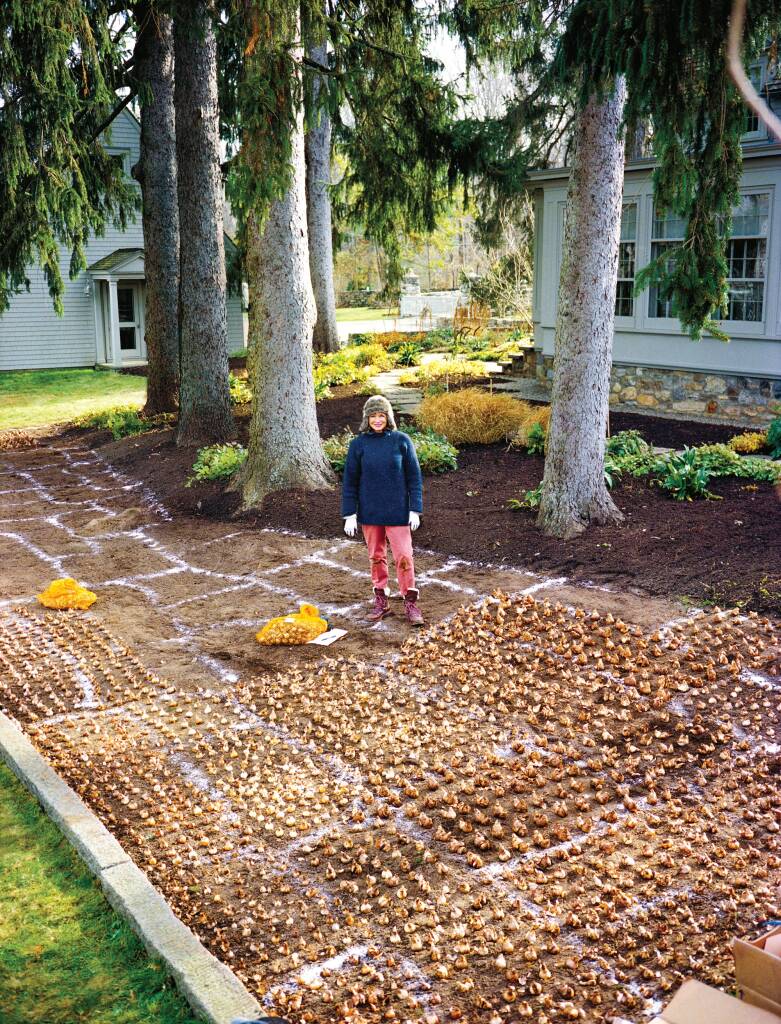 Spectacular Martha Stewart Planting Landscape Art Spectacular Martha Stewart Planting Landscape Art