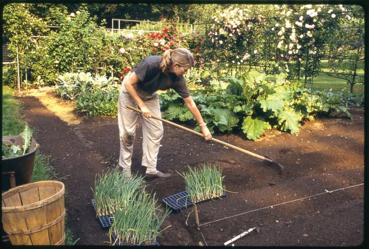 An archival photo of Martha hard at work in her Turkey Hill vegetable garden in \1988. Photograph by Elizabeth Zeschin.