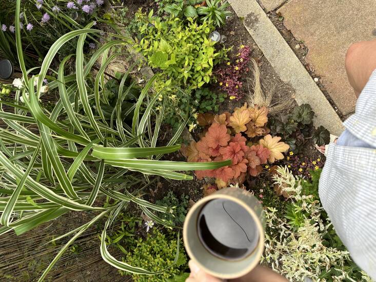 Coffee in the garden.