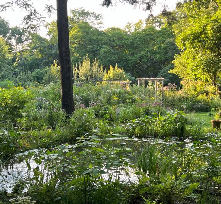 At Edwina von Gal’s habitat-rich garden in Springs, New York, no biomass leaves the property and nothing, except plants, comes in. Photograph by Edwina von Gal.