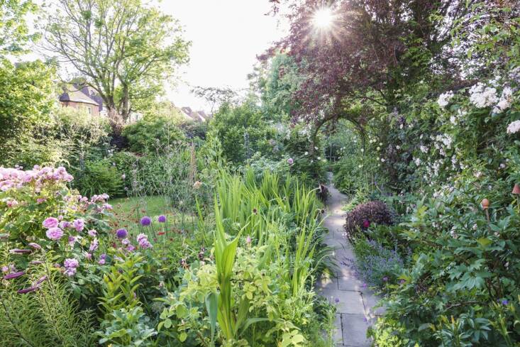 Sam McKnight&#8\2\17;s private London garden designed by Thompson. Photograph by Jason Ingram.