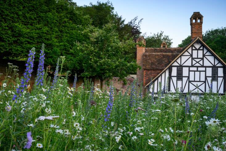 A historic village garden in Kent. Photograph by Jason Ingram.