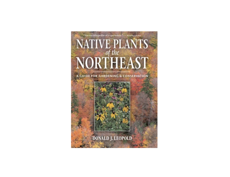 Native Plants of the Northeast is \$37.\20 at Bookshop.org.