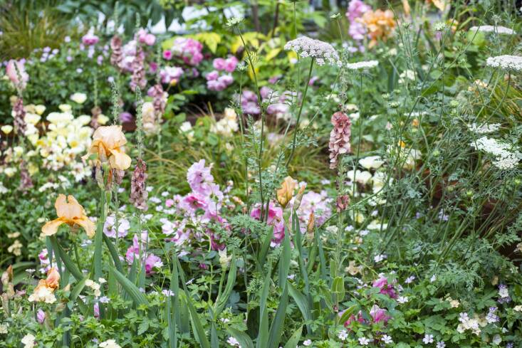 The Wedgwood Garden designed by Jo Thompson at RHS Chelsea \20\19. Photograph by Rachel Warne.