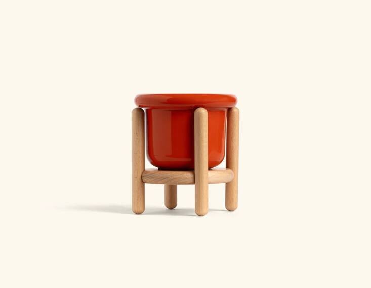 With a setup this irresistible, whether your plant survives becomes secondary. Shop now.