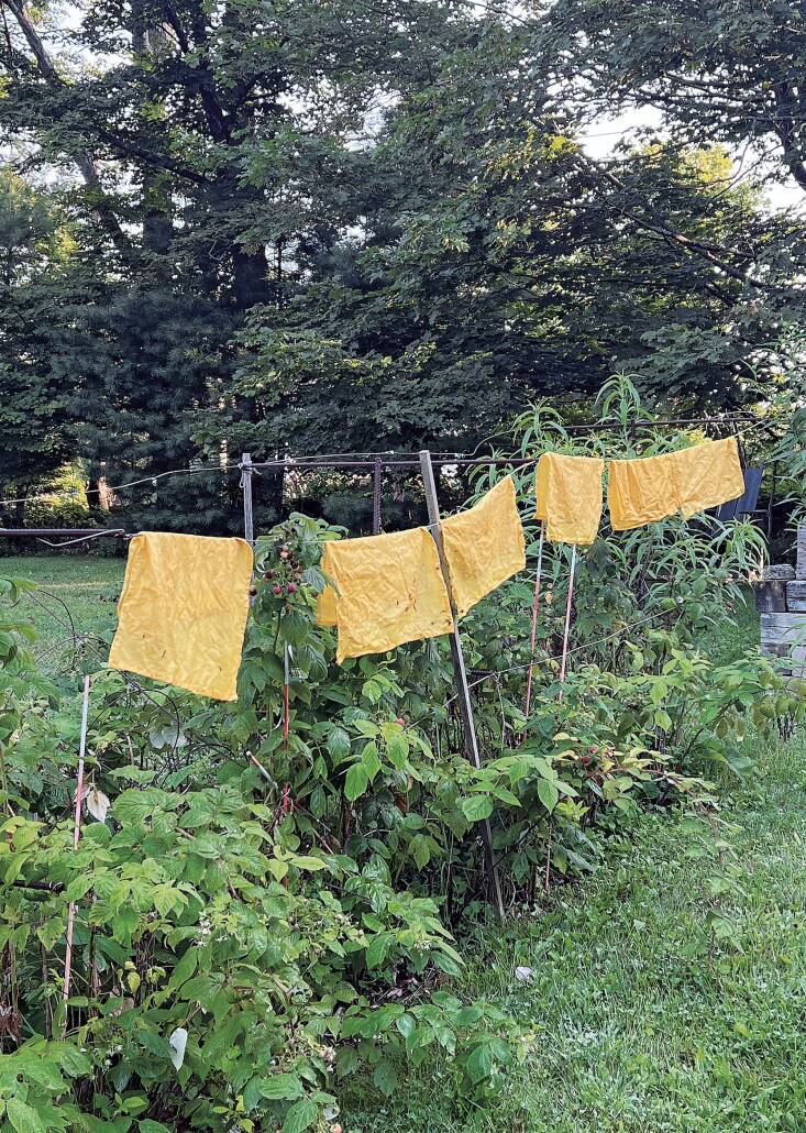 “Natural dyes for textiles seemed like an obvious choice, and I am just beginning to discover how to make and use them, enjoying the trial and error,” writes Palmer, who offers instructions for how to dye napkins in the book. “Marigolds capture the most gorgeous yellow, which transfers nicely to fabrics. I also like to include goldenrod and calendula in the mix, depending on what’s in bloom in the garden.”