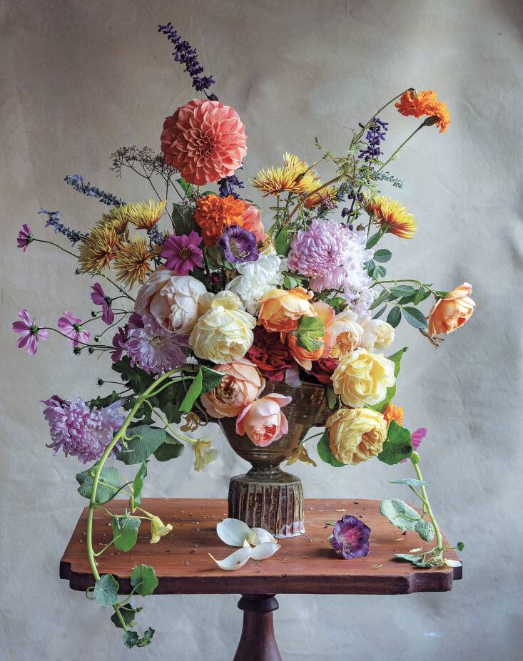 Palmer says she is particularly fond of this photo taken in late October. “It has all these flowers in it that to me are just kind of the epitome of harvest,” she says.&#8\2\2\1;‘It&#8\2\17;s got a lot of things in it that you wouldn&#8\2\17;t think were blooming at the same time, but they are.”