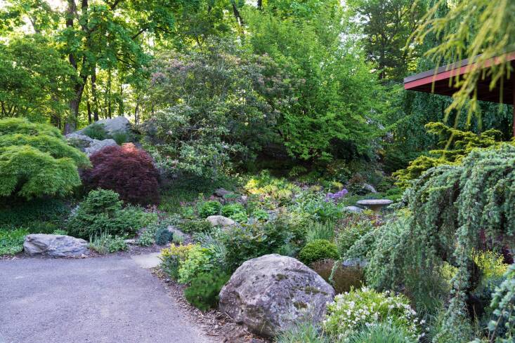 Lloyd used gray rock in this Westchester County, New York, garden because it harmonizes with the natural rock found there. Photograph by Ashley Lloyd.