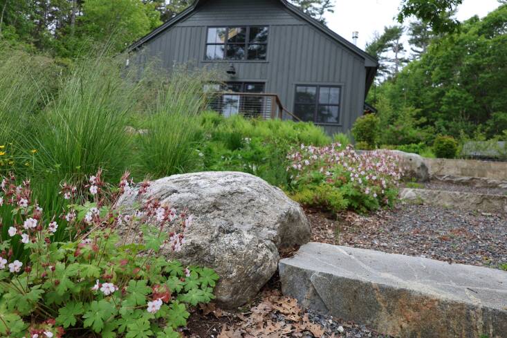 Boyce-Ratliff recommends strategically designing around existing stone features like he did here. Blending plants and locally harvested boulders alongside machine-cut stone steps “softens” the look of the less natural materials. Photograph by Gavin Boyce-Ratliff.
