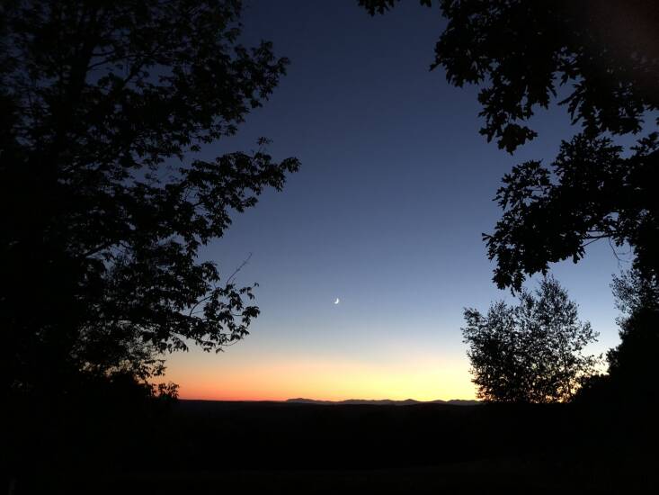 It’s heartening to see more people planting for pollinators. We’re seeing more and more pollinator pathways, butterfly gardens, and native meadows, but we can’t forget about the moths, bats, beetles, and fireflies—those after dark revelers that are just getting started as the sun goes down. Keep the lights to a minimum and follow DarkSky principles. Photograph by Melissa Ozawa.