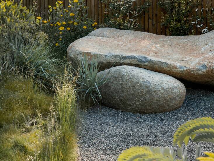 Sedaleck loves is how we can “feel like a lizard” a large boulder. “As the sun heats the stone, it becomes the most perfect place to take a nap or read a book, and feel the warm surface against you.” Photograph by Cass Cleave.