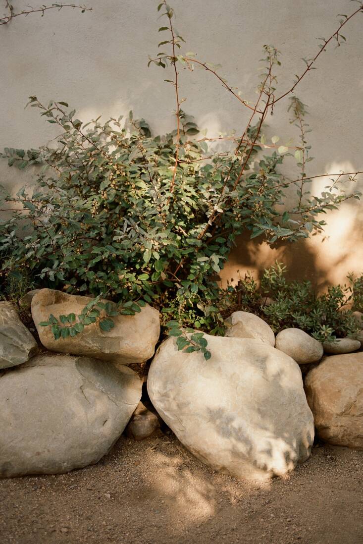 Molly Sedaleck made loose rock walls with Coyote boulders from ORCA’s rock collection. Photograph by Justin Chung.