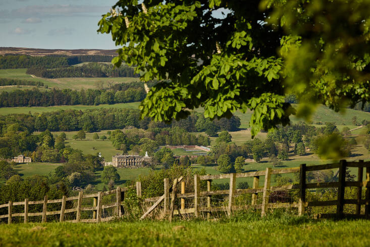 By prioritizing nature, adopting soil-friendly farming methods, regenerating its woodlands, moorland, upland pastures, and arable land, and re-inventing agricultural properties, the Reserve aims to restore balance and harmony.