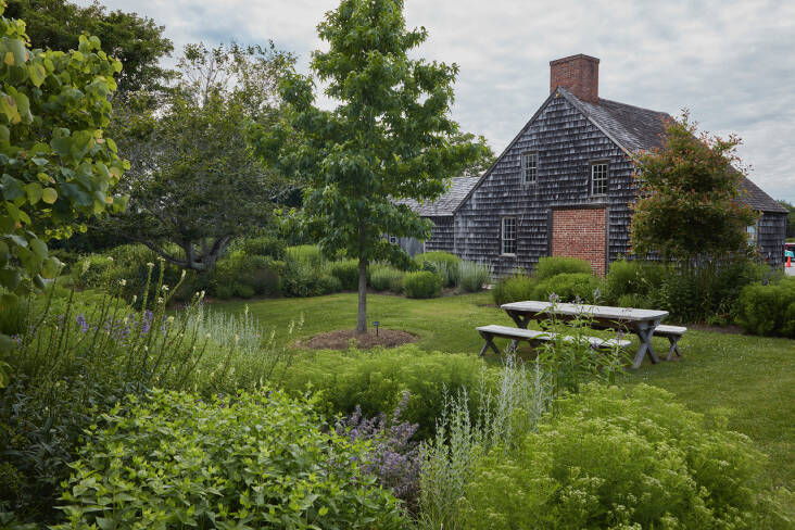 “The garden is really about building community and showing our community that there\2\17;s an alternative to the ecological dead zones of turf lawns,” says Pellett. The picnic table bench was designed by Stephan Van Dam and built by Paul Gartside, a local boat builder and volunteer at ChangeHampton. The wood for the table and bench was donated by Remy Tree, an arborist from Sag Harbor. Photograph by Tria Giovan.