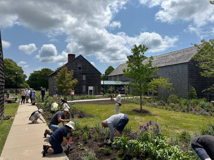 On a beautiful June day in \20\23, volunteers of all ages came together to help with the pollinator garden installation. Photograph by Abby Lawless.